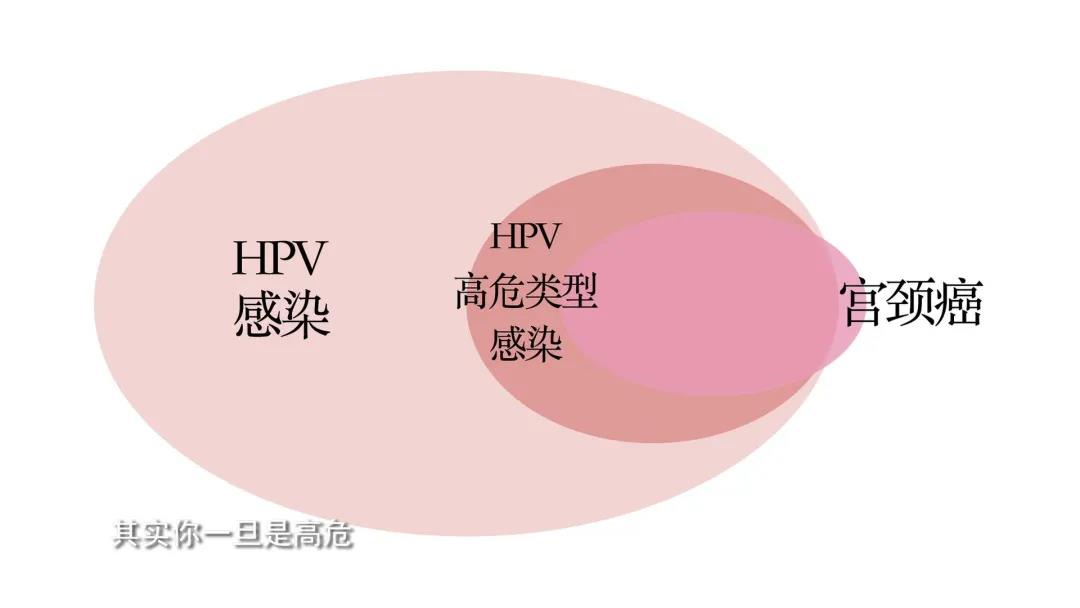 微信图片_20200617190255.jpg