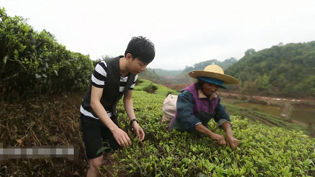 喜欢喝普洱茶的你了解普洱吗？美食寻味带你走进云南普洱